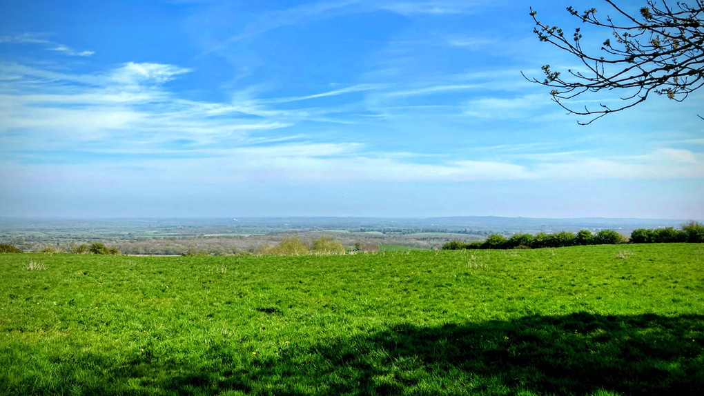 A wide grassy field under a bright blue sky with wispy clouds, overlooking a distant patchwork of woods and farmland. A tree branch with budding leaves extends into the frame from the upper right corner.