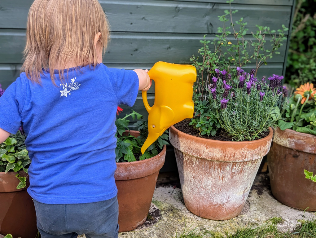 A small toddler emptying a bright yellow elephnt-shaped watering can over several terracotta pots with flowers