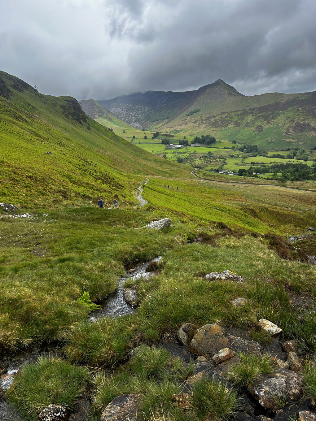 Wet mountains coated in beautiful green