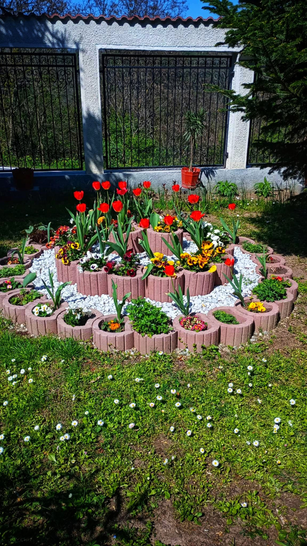 Flower arrangement