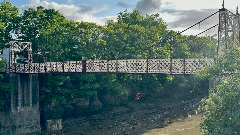 Bear on a swing on a bridge over a river