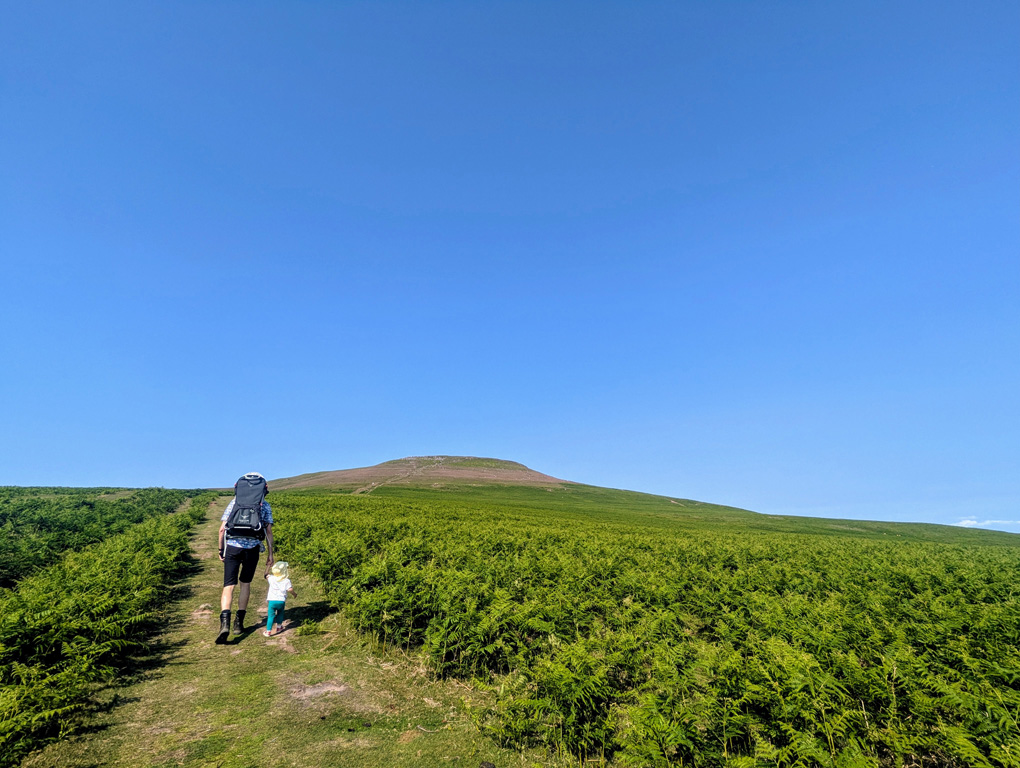 A toddler walking up a green mountain pass, holding the hand of her dad