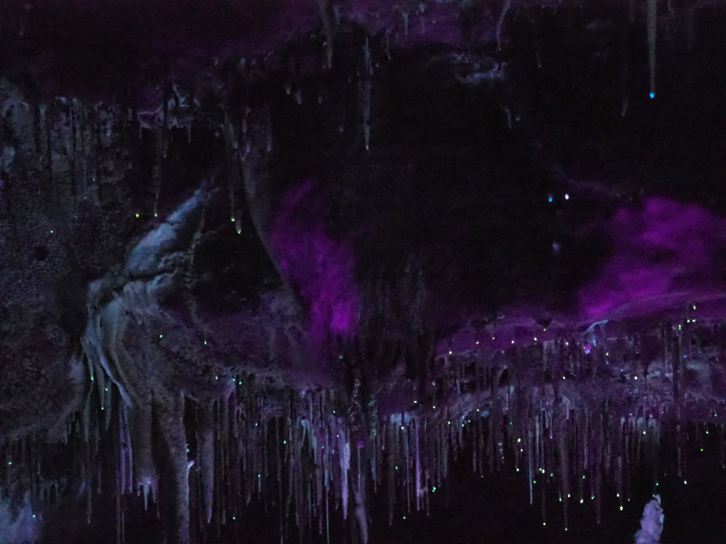 Purple and blue glows of underground cave formations illuminated by UV lights