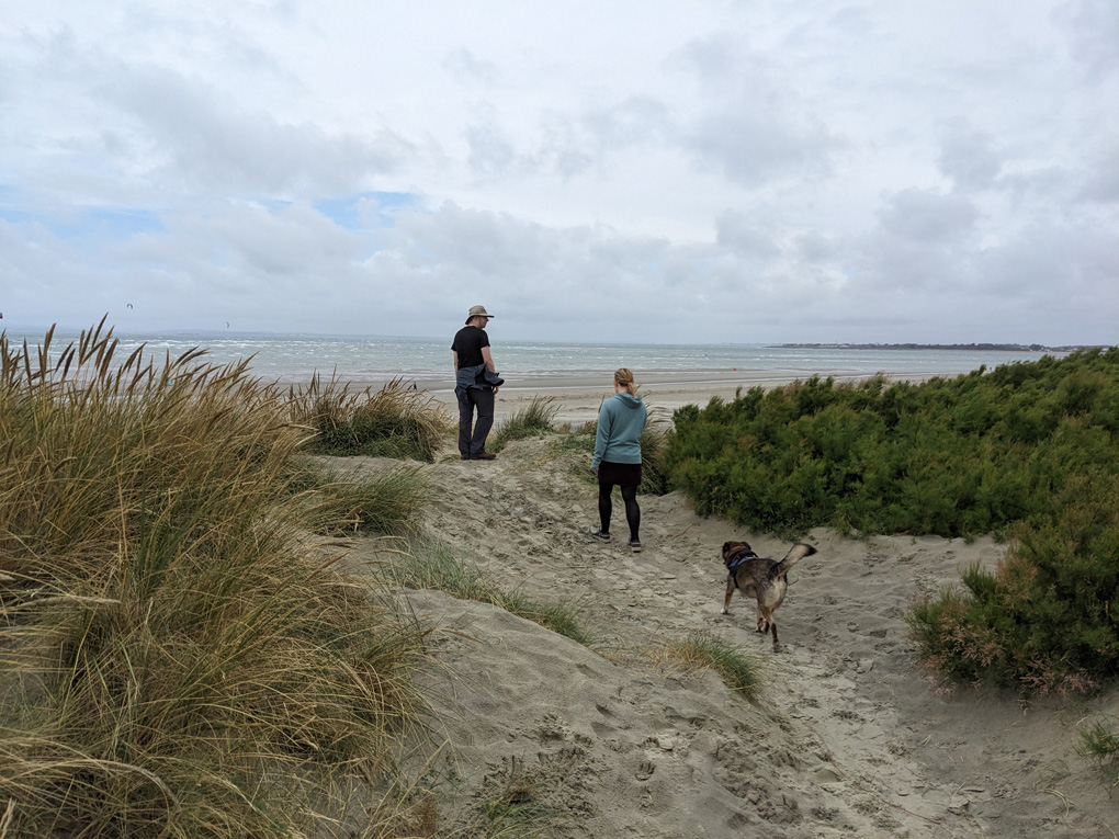 Two people and a dog make their way up a bank of sand dunes and sea grass towards the top beyond which the sea is visible in the back ground of the picture