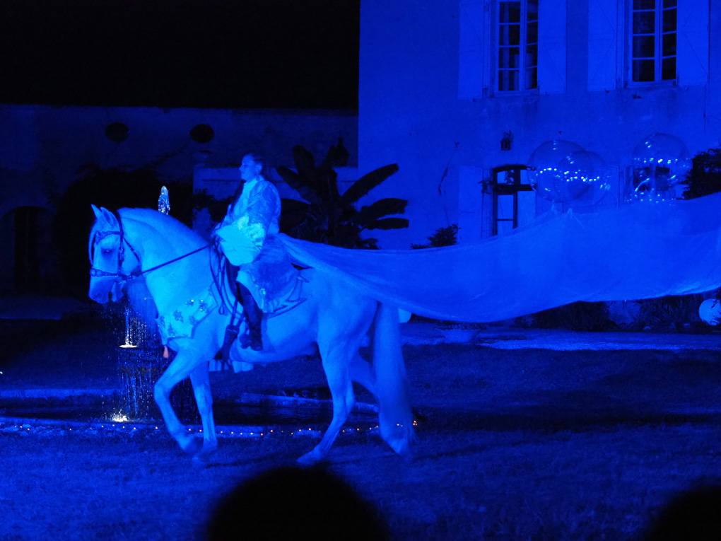 Horse display at nighttime, with a long dress trail being carried by helium ballons