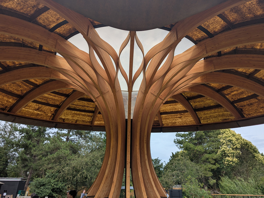 Wooden support structure for the new Pavilion at Kew Gardens.