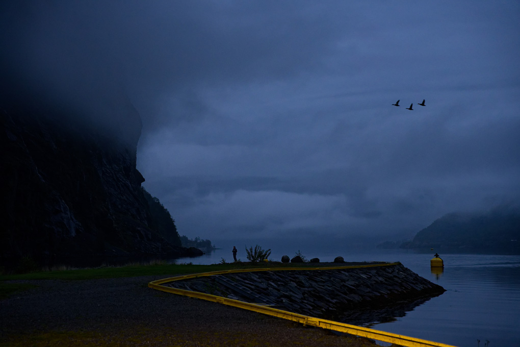 A silhouette of a man standing on the beach in Flåm's fjord. Three geese fly overhead in silhouette. Mist is rolling in. A low yellow safety barrier snakes from the mid-ground down into the bottom right, insisting on attention, being the only bright color.