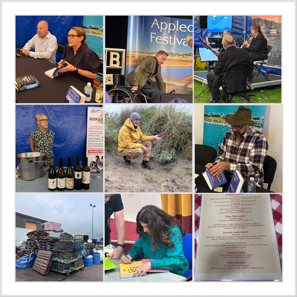 Collage of 9 events attended at the festival