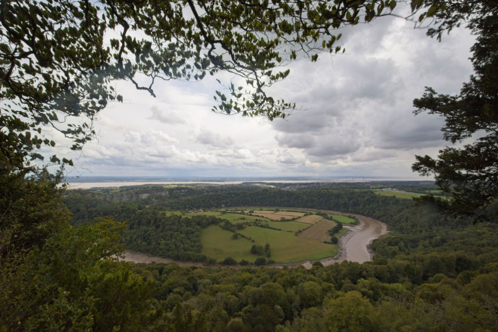 A loop of the muddy River Wye form the centre framed by trees with the Severn Estuary in the background.