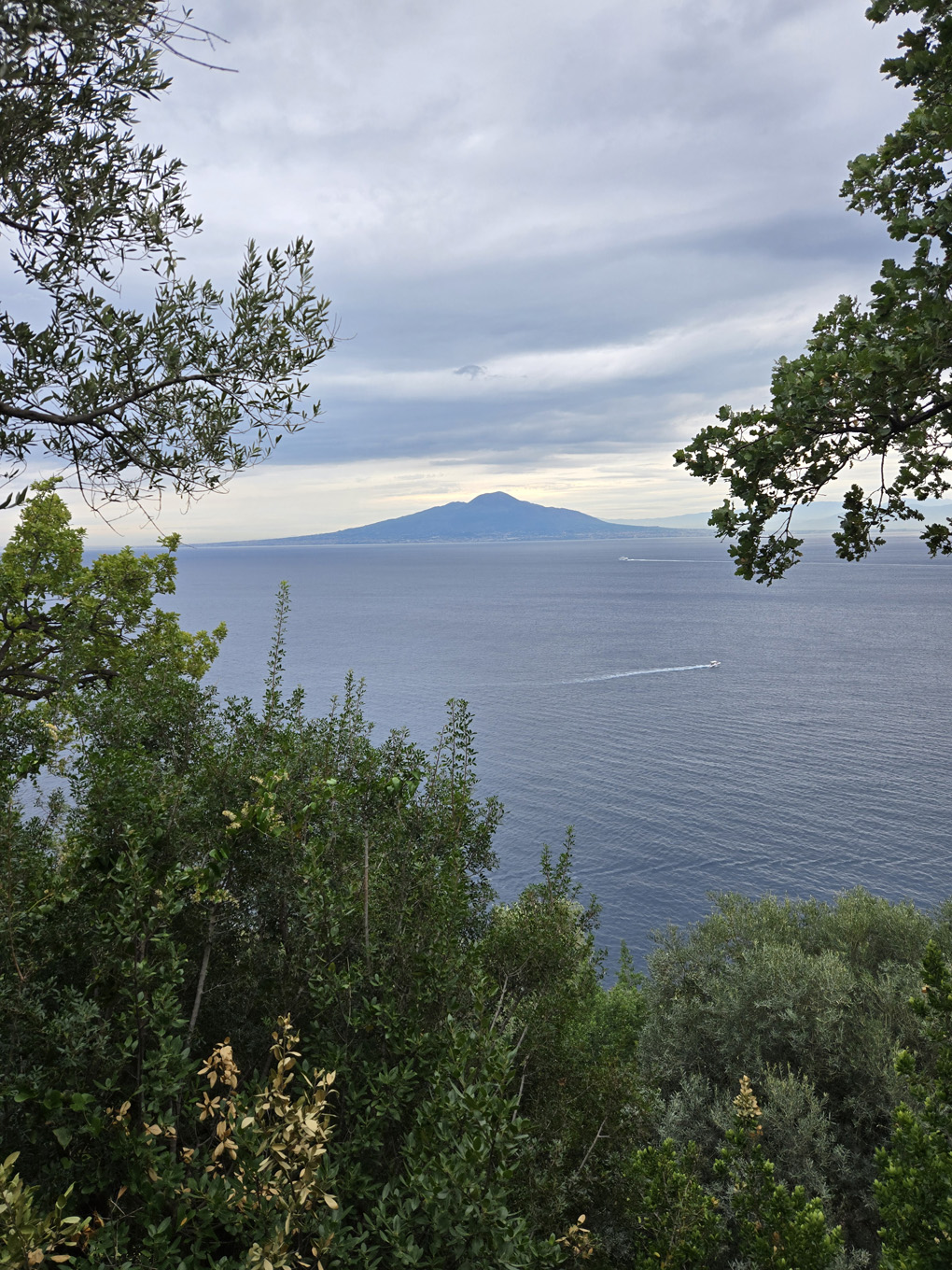 A stretch of water with Mount Vesuvius on the other side. Clouds above look a bit like it is coming from the volcano. In the foreground is green shrubbery framing Vesuvius