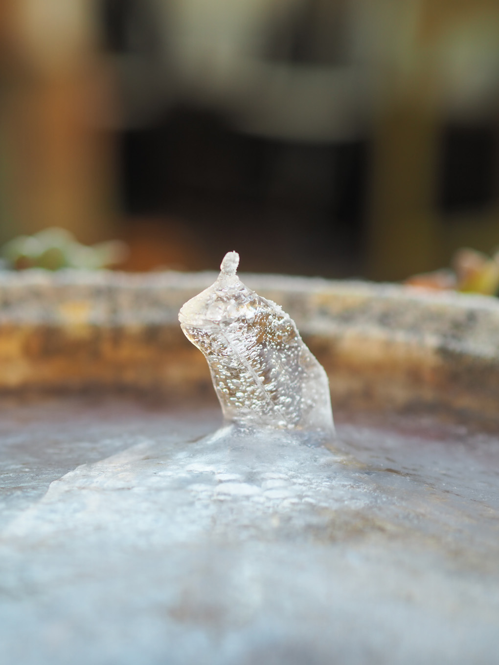 Standing icicle shape growing from the frozen water in a bird bath