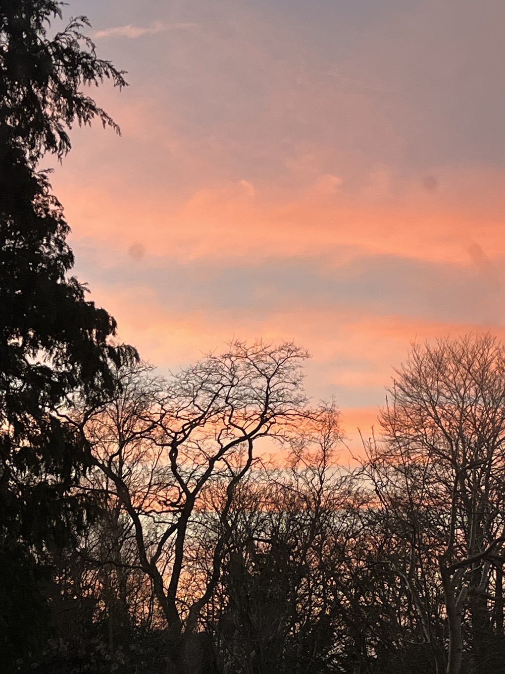 A pink and purple striped sky