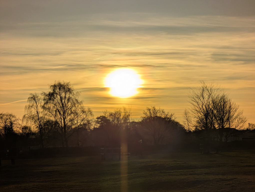 Orange and gold sunset over a hedge with a bench in the foreground