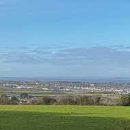 A green paddock rolling slightly downhill to a stand of leafless grey-brown trees, with bright town buildings in the further distance, and the sea in the background