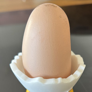 Elongated egg in an egg cup