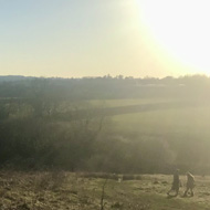 Sun setting in a blue sky, going down over green country hillside.