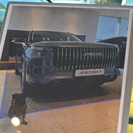 Dog in a picture of a car being sold