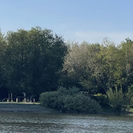 A small lake with beautiful sunshine with a row of trees