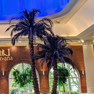An indoor swimming pool, completely empty. Large ornate columns and palm trees reach high around the pool meeting a domed ceiling
