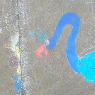 A blue and green peacock drawn in chalk on the grey concrete wall of a slipway down to the beach.