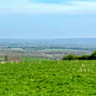 A wide grassy field under a bright blue sky with wispy clouds, overlooking a distant patchwork of woods and farmland. A tree branch with budding leaves extends into the frame from the upper right corner.