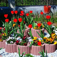 Flower arrangement