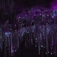 Purple and blue glows of underground cave formations illuminated by UV lights