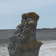 Sea Stacks
