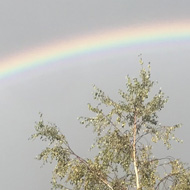 A bright and full semicircular colourful rainbow, stretched across a grey sky, above sun lit roofs and treetops.
