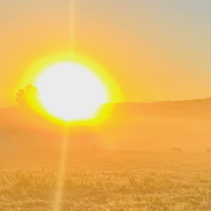 Batheaston meadows at dawn with sheep in the misty distance