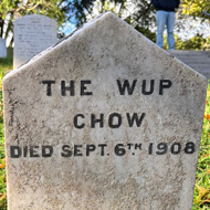 A small gravestone for a dog called The Wup who died in 1908
