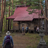 Late afternoon sun shines on tall trees surrounding a wooden building with a sloped red roof. Stone lanterns line the approach of visitors through the forest