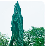 A plethora of autumn images - 1) An eerie shell of a tall tree- trunk in the shape of a needle with a hollowed out middle and at the top you can make out the face of a wizen old man with a beard . I gave it a turquoise hue which made it even more spooky. 2) A collection of mustard coloured oak leaves and acorns naturally lying in an arty formation but no squirrels anywhere to be seen!! 3) a collection of black Fungi called Elfin’s Saddle surprisingly lying almost unnoticeable at the base of a tree next to a boardwalk through an old part of the woods on a large estate. In the early stage they look just like golfball size black lumps which develop on a greyish stem about three inches high displaying a black saddle shape sitting on top. Not very common. A great find for a Fungi fiend! 4) A fallen thinnish light golden branch peeled of its bark, looking much like a large Stick Insect walking up a bracken bank in the woods. I hope you’ve enjoyed this autumn portrayal.