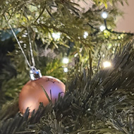 A glass of champagne nestled into the branches of a Christmas tree