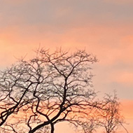 A pink and purple striped sky