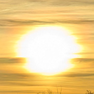 Orange and gold sunset over a hedge with a bench in the foreground
