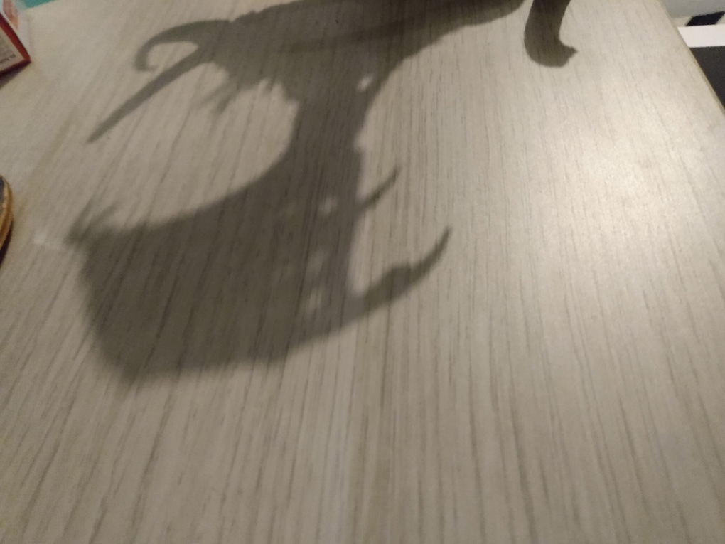 A long shadow of a horned dragon model is cast on a desk