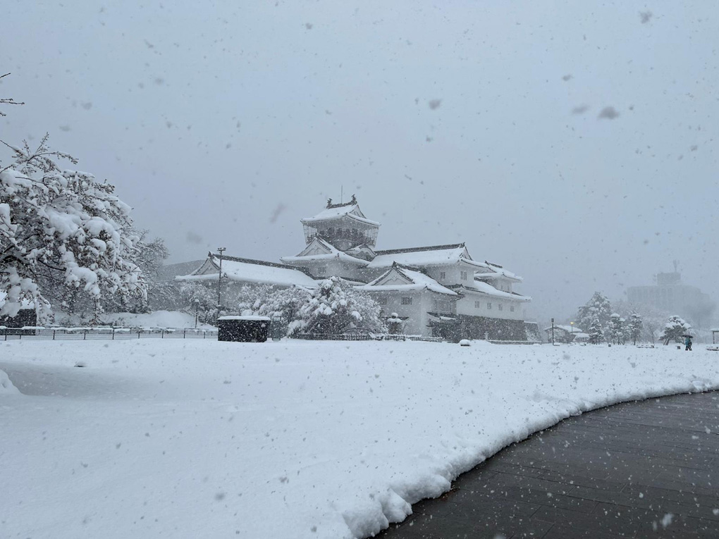 Japanese castle in the snow