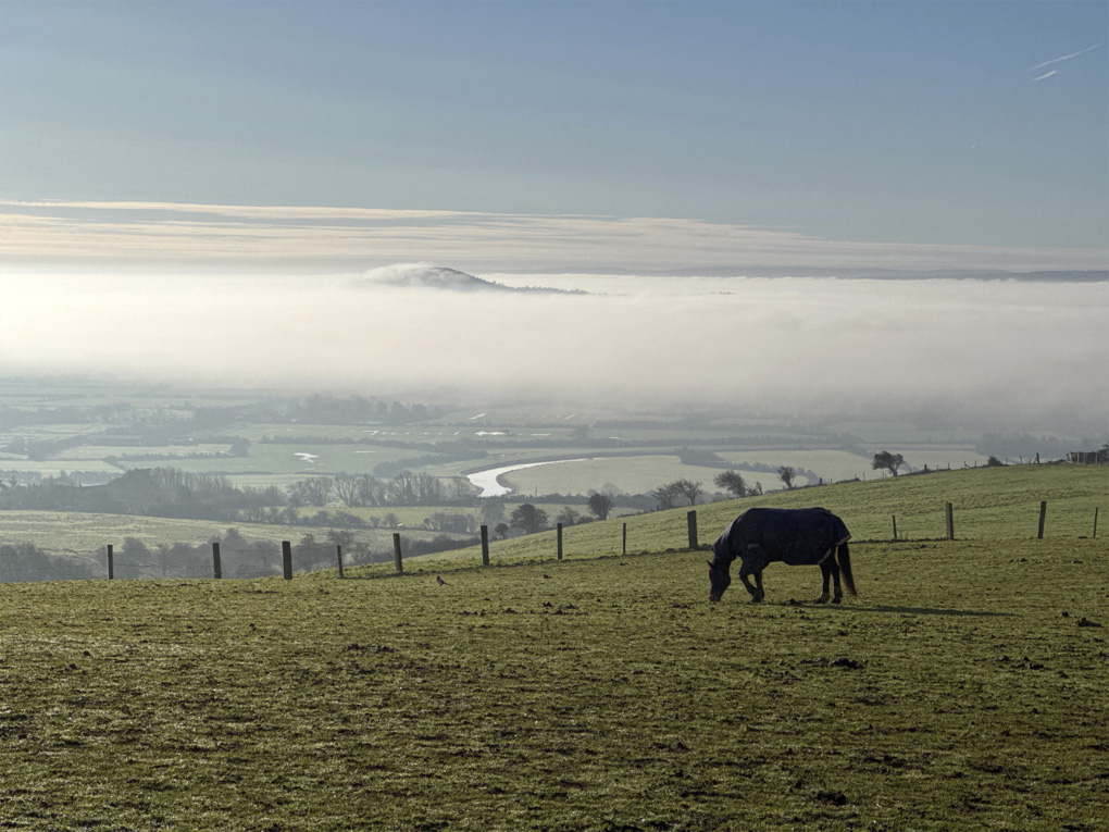 A dense and brilliant-white blanket of mist covers green wetlands in Somerset, England