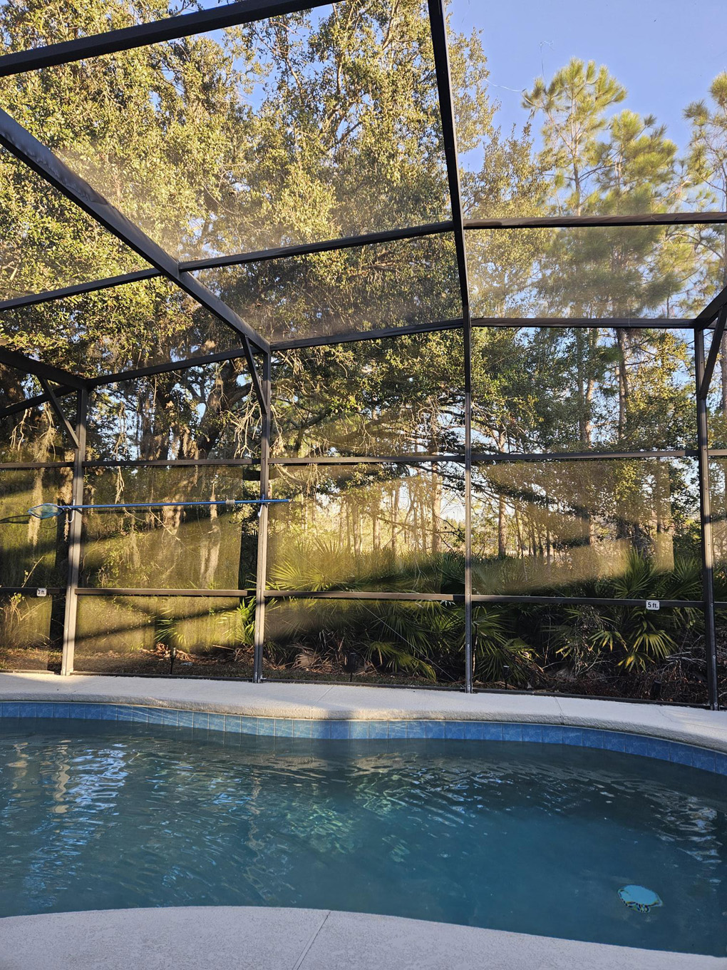 Pool with trees and sunshine seeping through