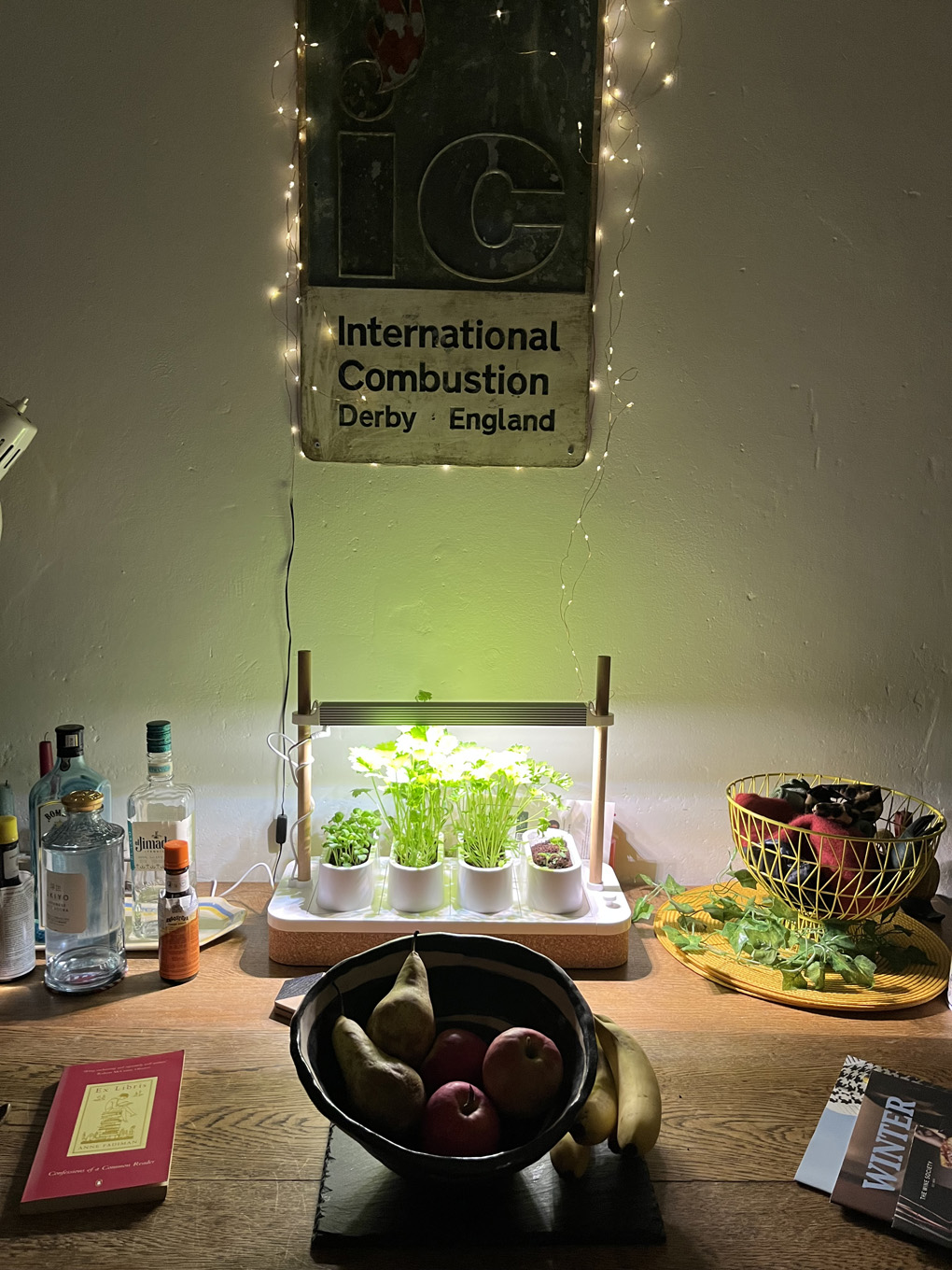 Some bright green herbs growing indoors under a sun lamp