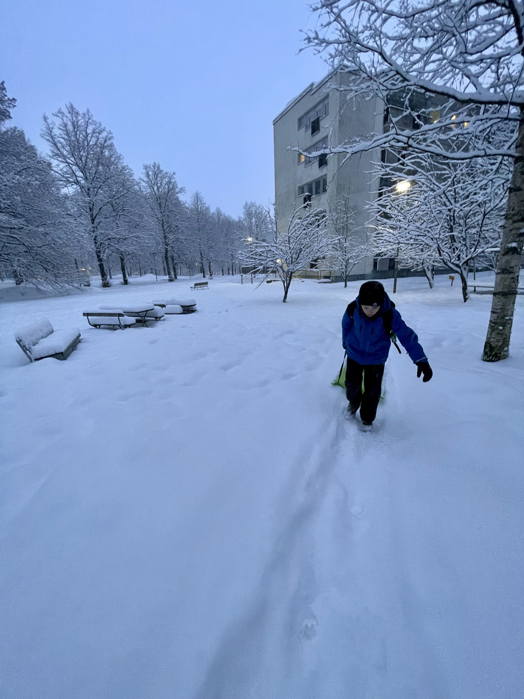 Wintery scene with a child walking
