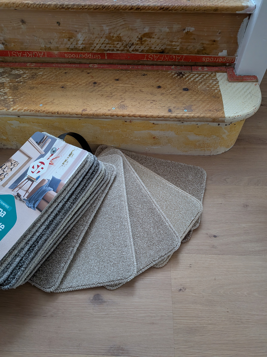 Domestic decision-making