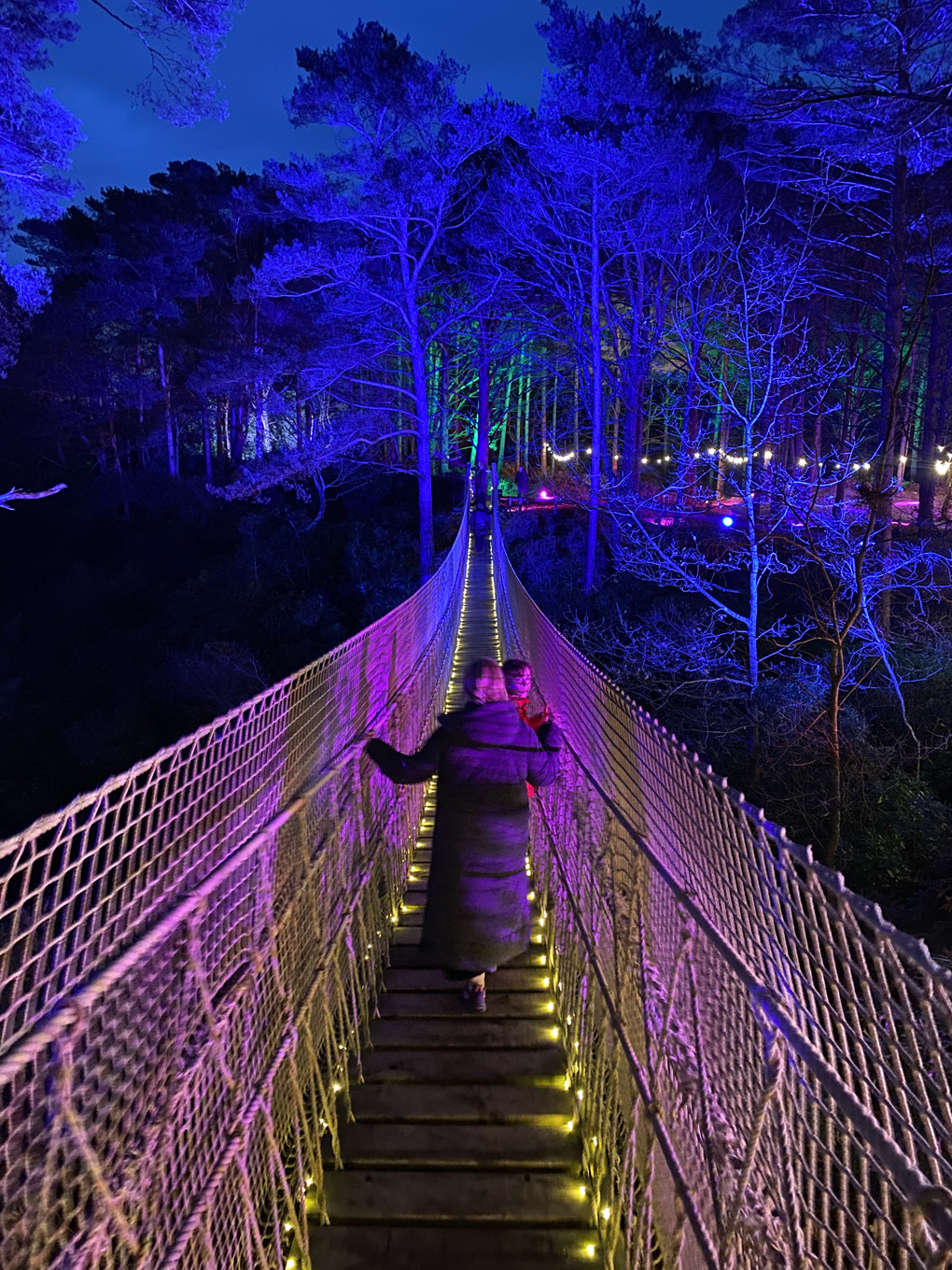 Two people walking away across a long rope bridge, with tree lit up with blue light in the background.