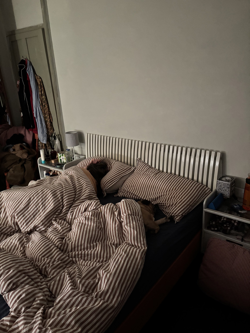 Two people asleep in a bed under a striped duvet. On closer inspection one of the people is actually a French bulldog.