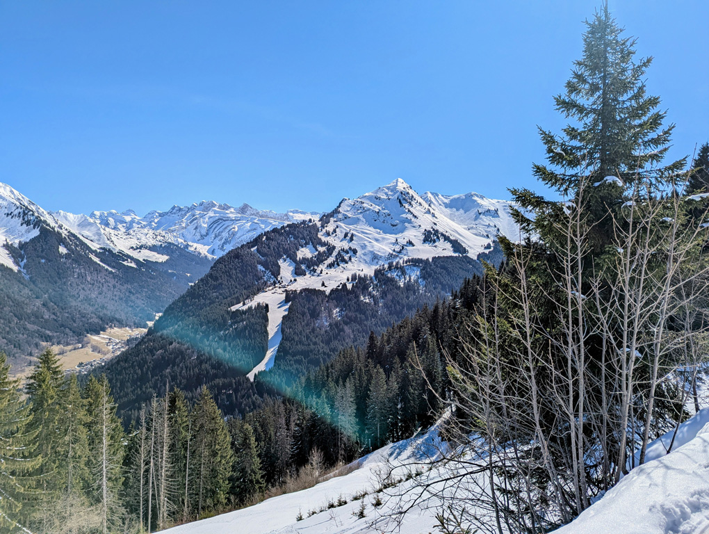 A view over snow capped mountains and alpine trees. The sun is hinting so brightly there's a glare on the picture.