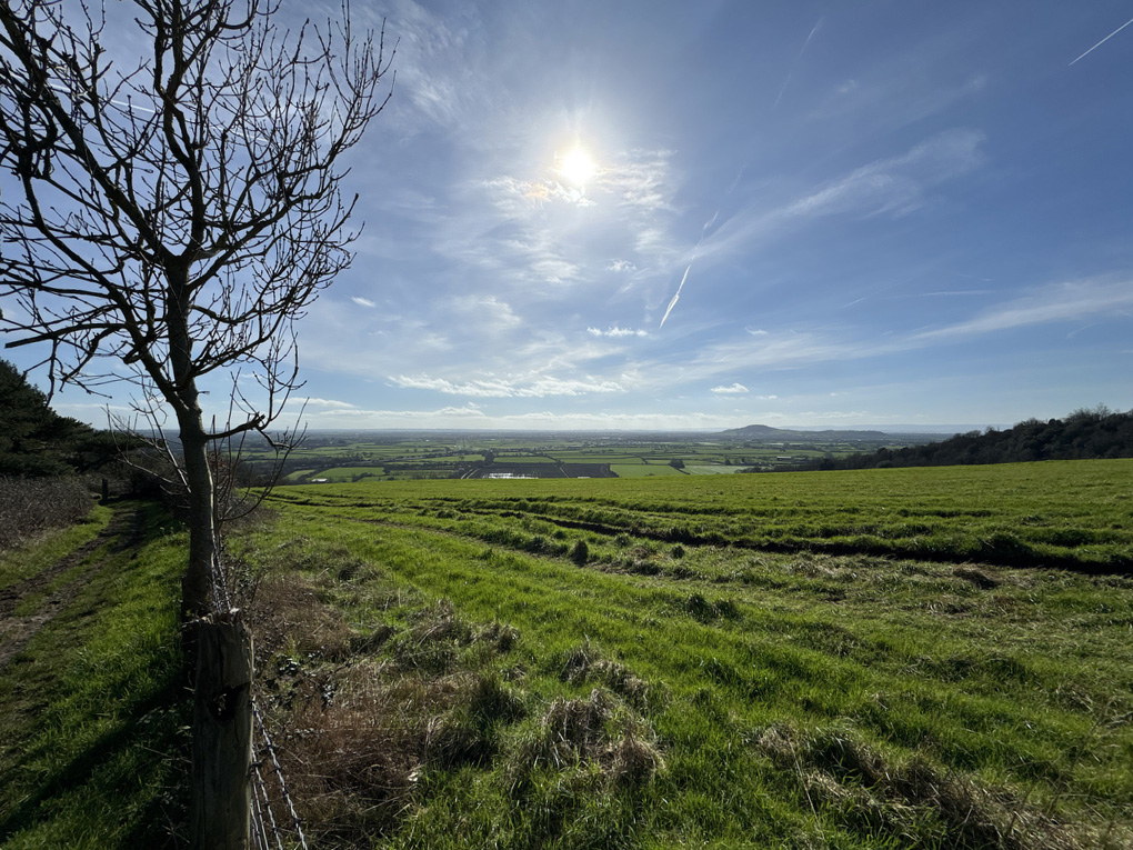 A green valley under bright blue, slightly cloudy skies