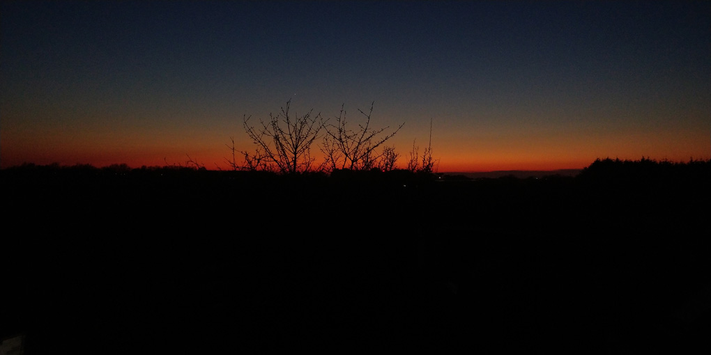 A dark distant sunset glow in the sky on the horizon, with a few points of light, through the silhouette of a nearby tree in the foreground. Otherwise mostly black.