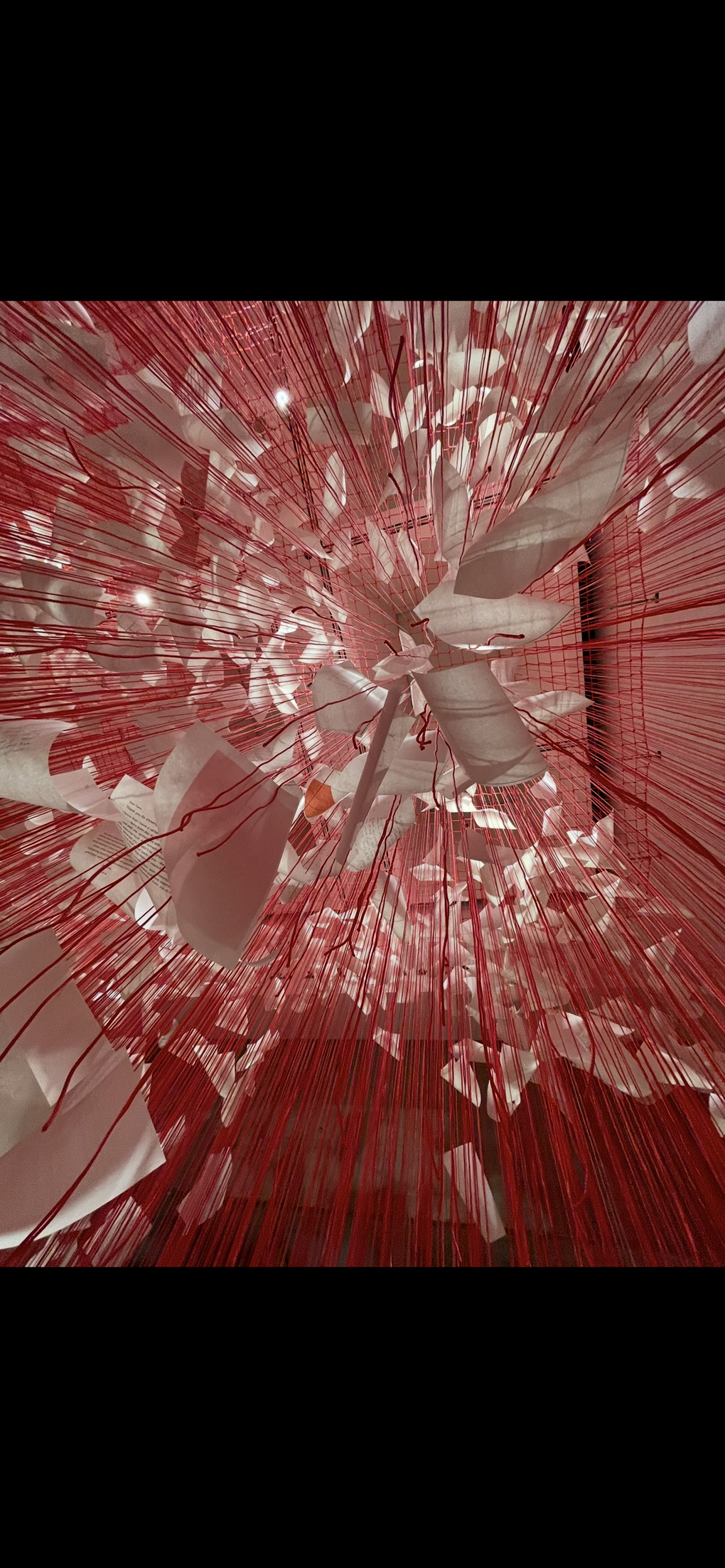 Hundreds of hanging rows of red string hold up different A4 sheets expressing thanks and gratitude to various people around the world (and also the tooth fairy)