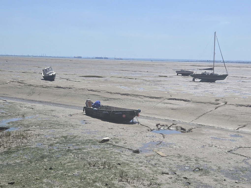 Four small boats of different types lie on the mud as the tide is out. In the foreground are purple flowers